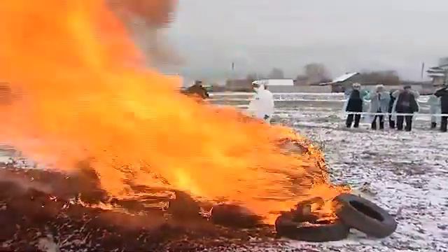 АФРИКАНСКАЯ ЧУМА смотреть онлайн