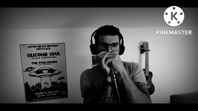 Tribute to Little Walter par Charlie Mccoy harmonica cover смотреть онлайн