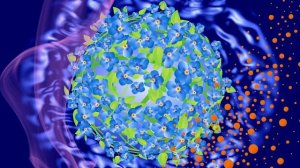 Футаж. Фон для надписи 49