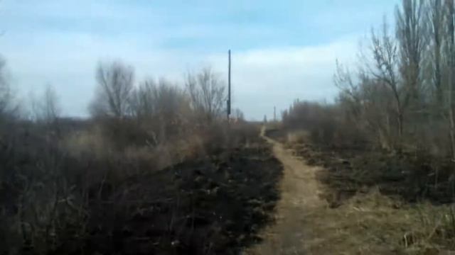 Куда ведет тропинка? смотреть онлайн