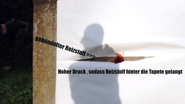 Guardian Angel 4 Review Deutsch смотреть онлайн