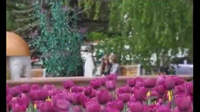 Весна в Красноярске. смотреть онлайн