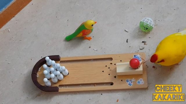 Bowling Kakarikis ?? смотреть онлайн