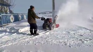 Работа снегоуборочной приставки ПСУМБ на мотоблок 6,5л.с Brait, Forza, Нева, Ока.