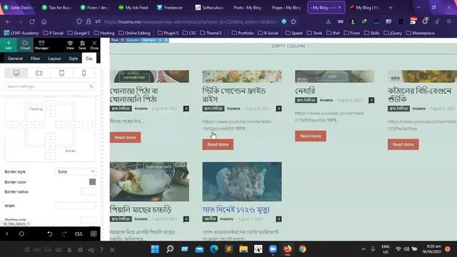 Newspaper theme customization || Developer inzams смотреть онлайн