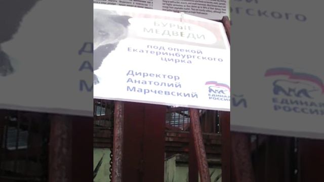 Я в Екатеринбурге Я со своей семьёй взоопарке смотреть онлайн
