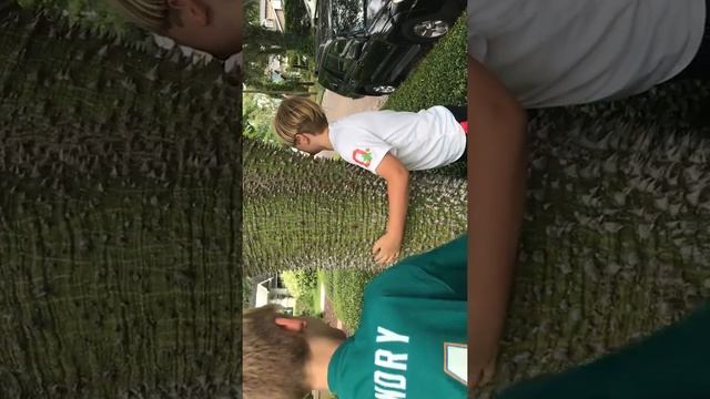 Spiky tree challenge смотреть онлайн
