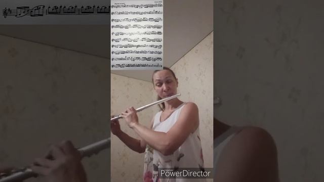 Красивые этюды для флейты смотреть онлайн