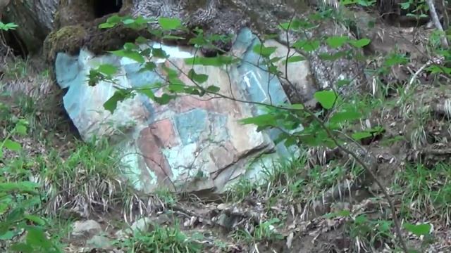 18_05_2014_КРАСНАЯ ПОЛЯНА_СОЧИ (1).mp4 смотреть онлайн