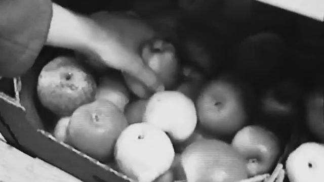 что такое взрослость?