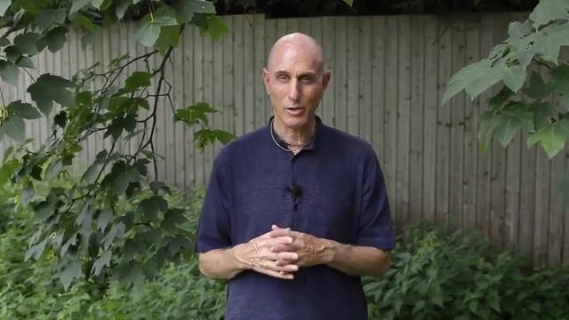 Вера в Гуру и Кришну смотреть онлайн