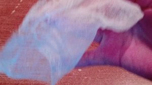 Как почистить CD/DVD/Blue ray диск