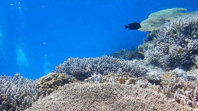 Красное море 2021. смотреть онлайн