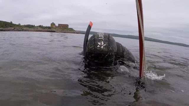 Подводная охота в заливе / Spearfishing In The Bay