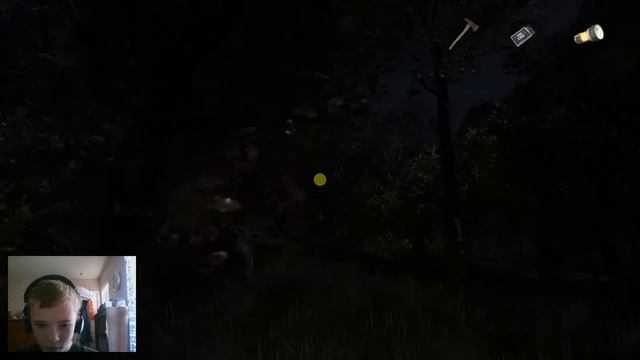 Please, You Don't Have To Do This! The Secret Of Pineview Forest смотреть онлайн