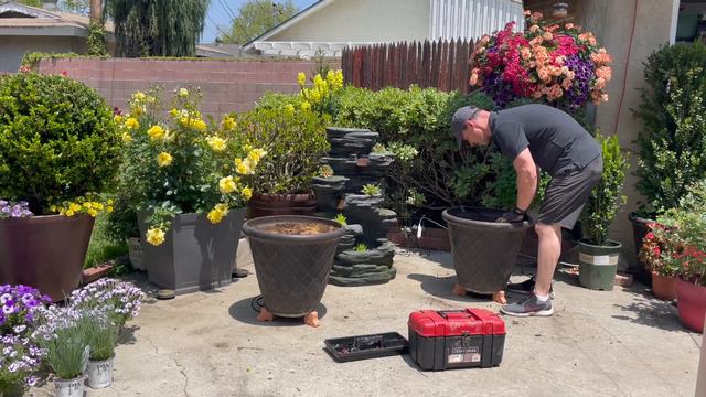 Make a Statement with this Container Combination! | Gardening with the Williams' смотреть онлайн
