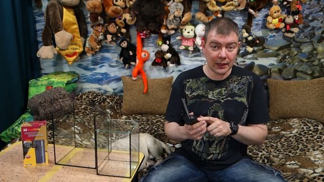 Сколько рыбок можно запустить в аквариум? Часть1 - Аквариумы от 5 до 40 литров. смотреть онлайн