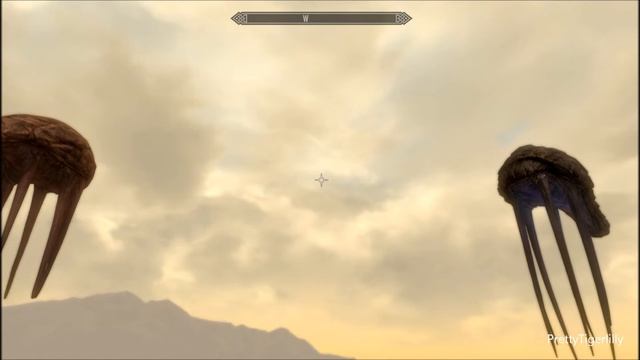 Skyrim-Dragonborn: Netch, a first look at them since Morrowind смотреть онлайн