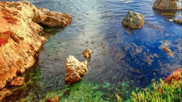 Сирота не могла понять, кто поджог дом. А когда нашла мать и задал ей пару вопросов... смотреть онлайн