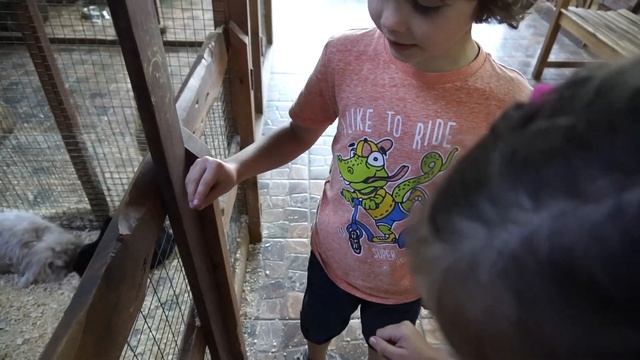 VLOG Сходили в трогательный зоопарк Сочи Море Молл Для детей 3+ смотреть онлайн