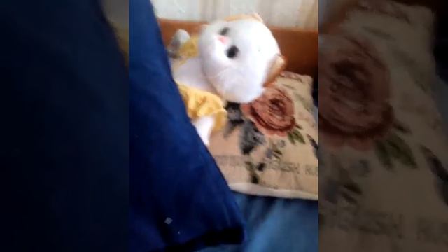 Режим дня смотреть онлайн