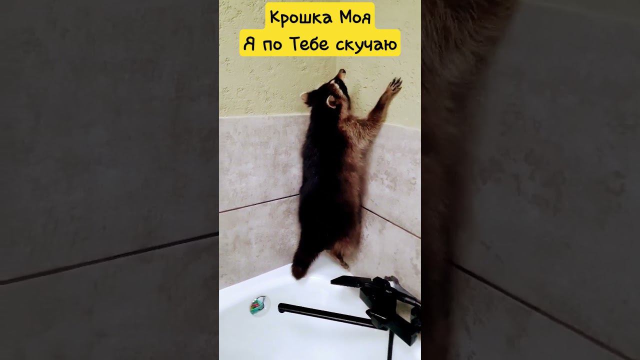 ▷Крошка моя я по тебе скучаю◁ смотреть онлайн