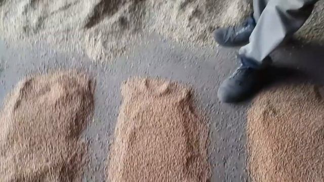 Тамбовская область Уваровский район село Моисеево-Алабушка