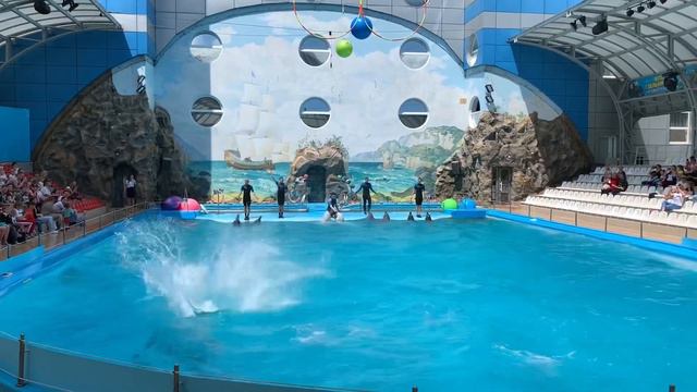 Что случилось на дне рождения Маши в отеле Nemo? 🐬 смотреть онлайн