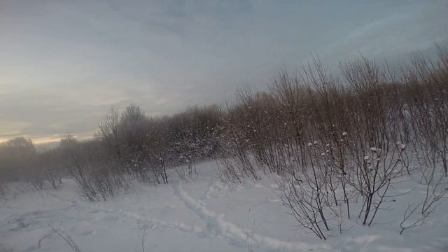 Охота на зайца в глубокий снег с русско пегой гончей смотреть онлайн