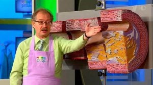 Жить здорово! Выпуск от 01.10.2015