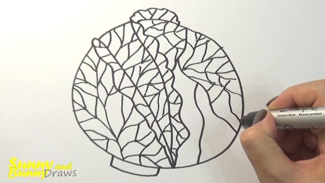 Рисунок и раскраска Капуста - Рисунки для детей | Sunny and Bunny Draws смотреть онлайн