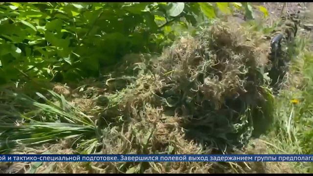 Готовность в любое время смотреть онлайн