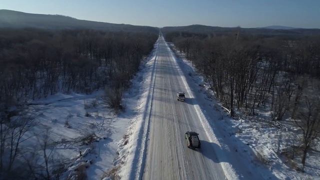 Тигрица по кличке Зима вернулась в дикую природу смотреть онлайн