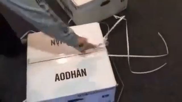 Aodhan - Ds-01 Gold Unboxing