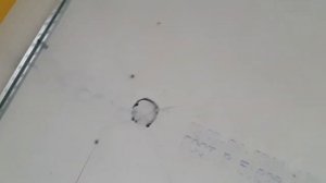 Как сделать стяжку в каркасном доме на сваях