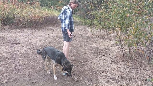 Pattern Games смотреть онлайн