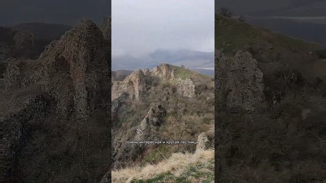 Коджори, Грузия! Чтобы путешествовать, не обязательно ехать далеко #shorts #тбилиси #грузия смотреть онлайн