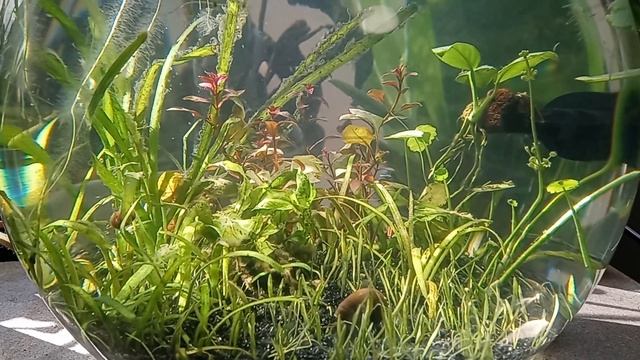 a video where nothing happens смотреть онлайн