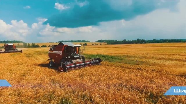 Агроснаб Северо-Запад - 7 комбайнов "палессе" на уборке в Вологодском Районе смотреть онлайн