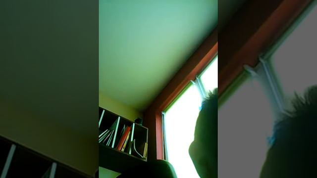 Скрита камера на страшен чат смотреть онлайн