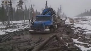 ГРУЗОВИКИ КАМАЗ, УРАЛ НА БЕЗДОРОЖЬЕ СЕВЕРА РОССИИ