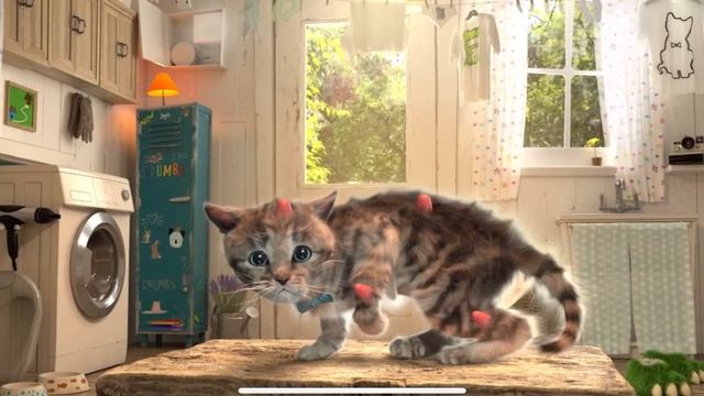 Little Kitten My Favorite Cat Pet Care - Play Fun Cute Kitten Care Games #254 смотреть онлайн
