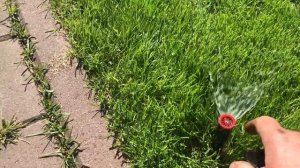 Как почистить форсунки распылителей системы автополива HUNTER