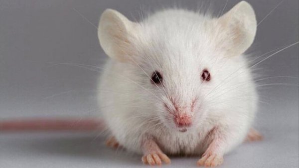 10 Fun Facts About China