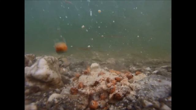 test de sac soluble avec mix maison vue de sous l'eau !! смотреть онлайн