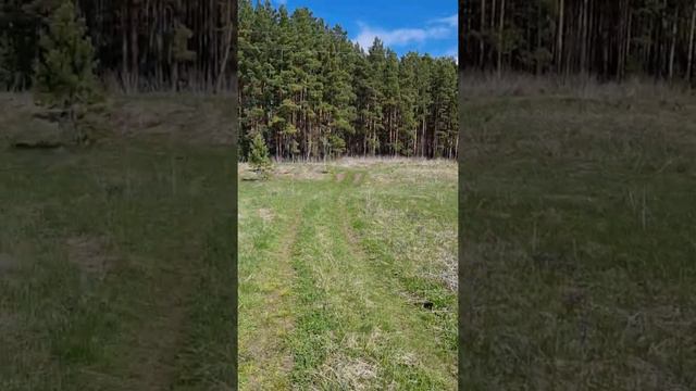 Глэмпинг-парк Берег Кана. Ответ на вопросы смотреть онлайн