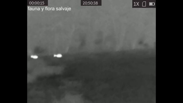 Cámara térmica (La mas barata que encontré) смотреть онлайн