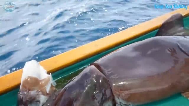 Everyone Should Watch This Fishermen's Video - Fastest Giant Squid Fishing And Processing Skills