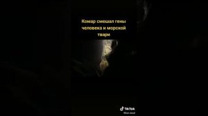 Чтооо? Комар смешал гены человека и морской твари