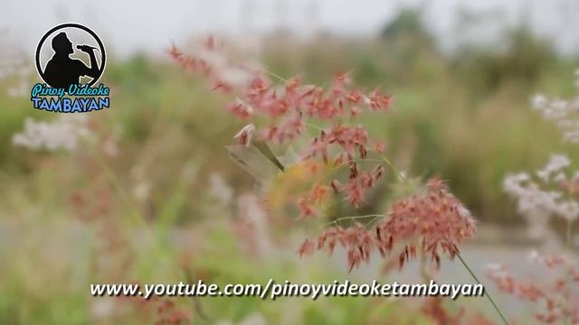 Wildflower - Skylark (KARAOKE VERSION)